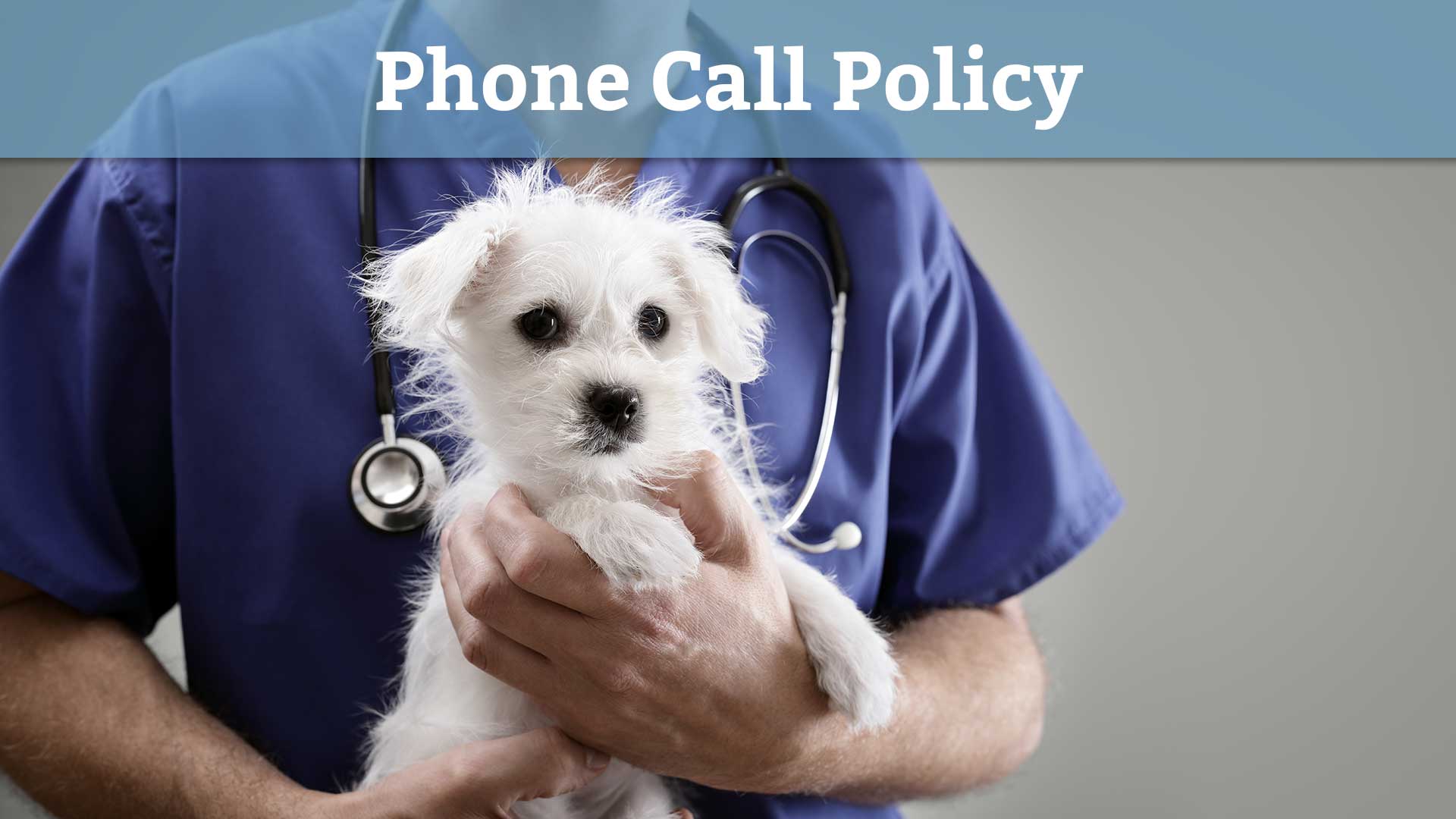 General Practice Information – St Francis Veterinary Hospital